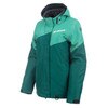 Rain Forest - FIr